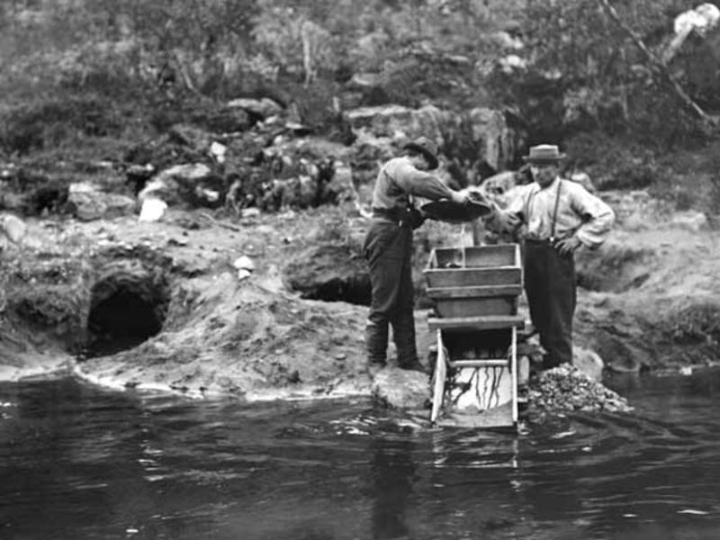 la fiebre del oro